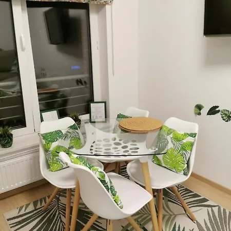 Apartmán Srodmiescie Tartaczna 42 *
