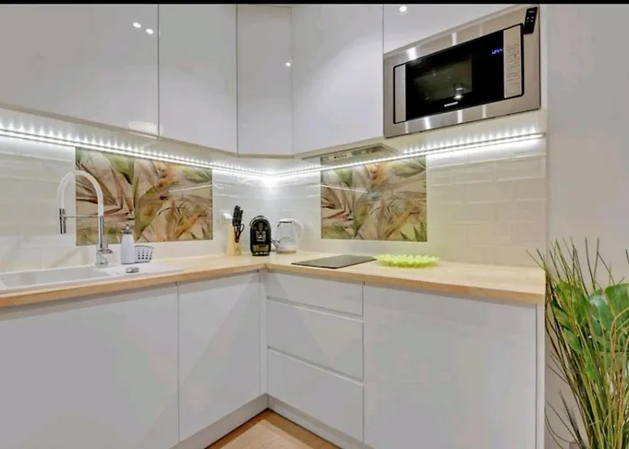 Apartament śródmieście Tartaczna 42 *