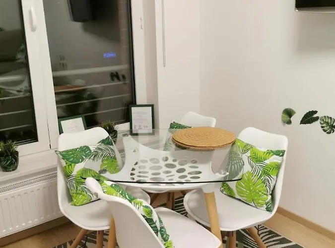Apartament śródmieście Tartaczna 42 *